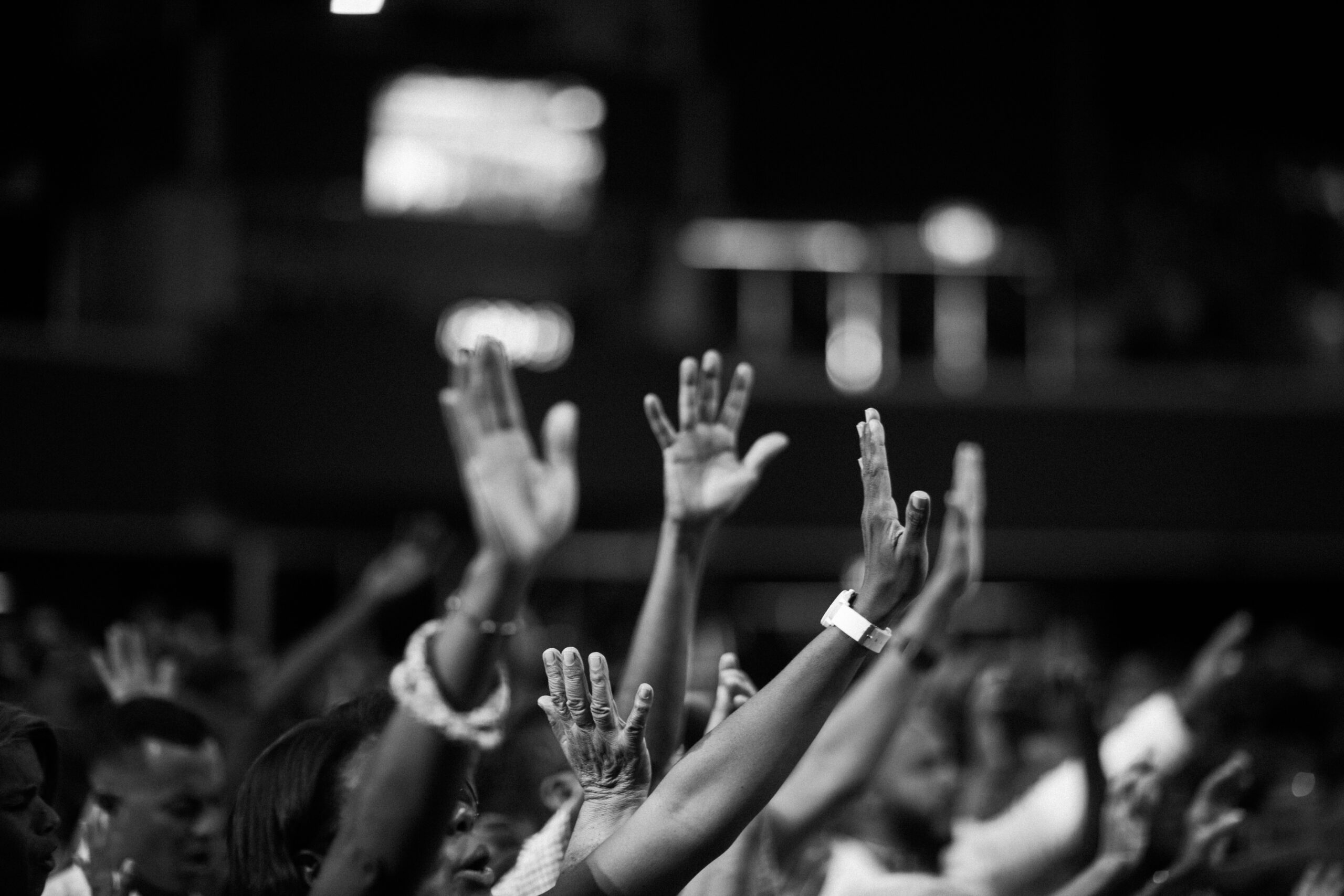 Spring Revival Coming Soon!